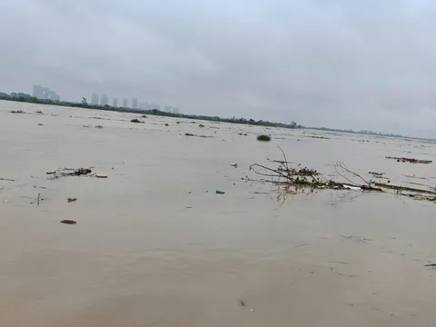 Mực nước sông Hồng lên báo động 2