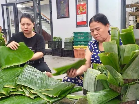 Người dân Đà Nẵng trao gửi yêu thương tới đồng bào vùng bão lũ