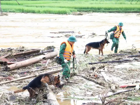 Bộ đội Biên phòng tìm kiếm nạn nhân tại Làng Nủ, Lào Cai