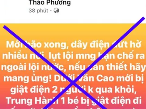 Hải Phòng: Xử phạt đối tượng đưa thông tin sai về 2 người bị điện giật tử vong