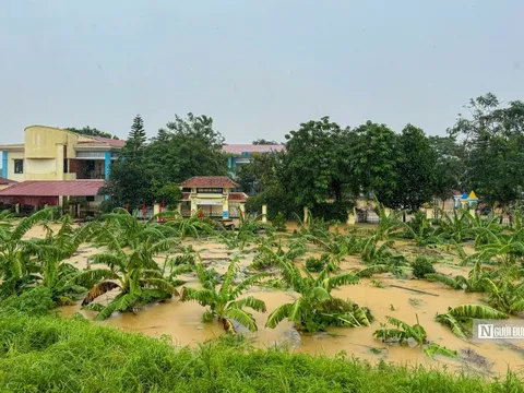 Chủ tịch Hà Nội ra công điện tập trung khắc phục hậu quả mưa, lũ