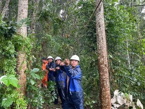 245 kỹ sư và công nhân lành nghề đến Quảng Ninh hỗ trợ khôi phục lưới điện