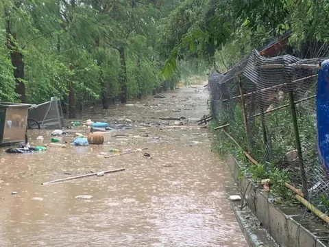 Ngành y tế tập trung nguồn lực hỗ trợ các địa phương bị ảnh hưởng do bão lũ