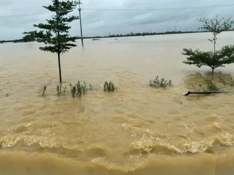 Đề phòng lũ ngập sâu, diện rộng do lũ sông Hồng, sông Thái Bình xuống rất chậm