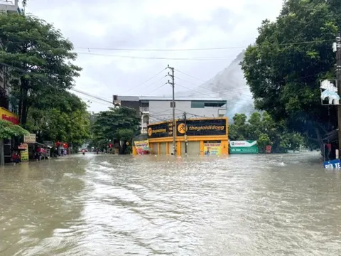 Triển khai xuất cấp 50 tấn gạo dự trữ cho tỉnh Cao Bằng