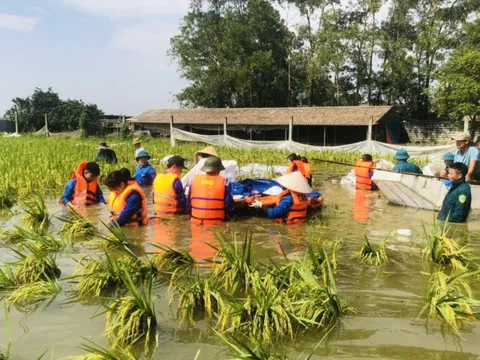 Chung tay khắc phục thiên tai cùng nhân dân vùng lũ