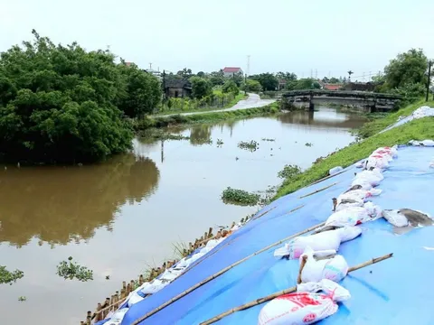 Trên 300 sự cố ảnh hưởng đến an toàn đê