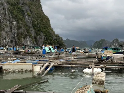 Quảng Ninh: Thiệt hại gần 24.000 tỷ đồng do bão số 3