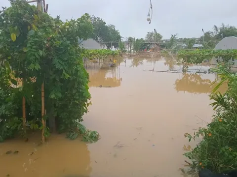 Những bài học kinh nghiệm về y tế từ cơn bão số 3