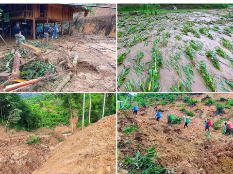 Hỗ trợ sinh kế cho người dân hậu thiên tai