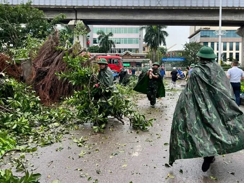 New Zealand hỗ trợ 1 triệu NZD giúp Việt Nam khắc phục hậu quả bão Yagi