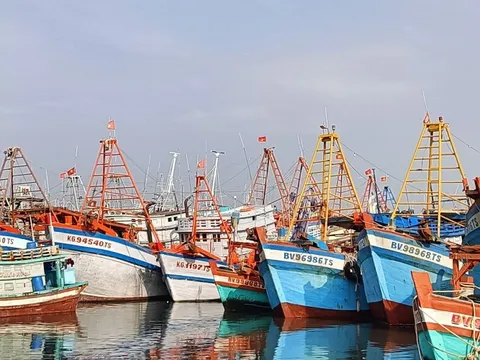 Bà Rịa-Vũng Tàu đã xóa đăng ký 379 tàu cá