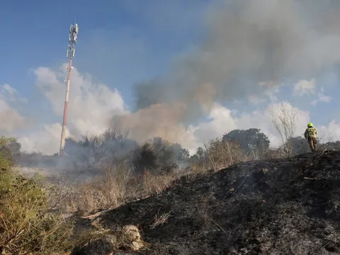 Hamas gửi lời chúc mừng Houthi về vụ tấn công Israel