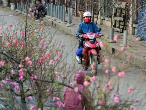 Đề xuất công chức, người lao động được nghỉ Tết Nguyên đán 9 ngày liên tục