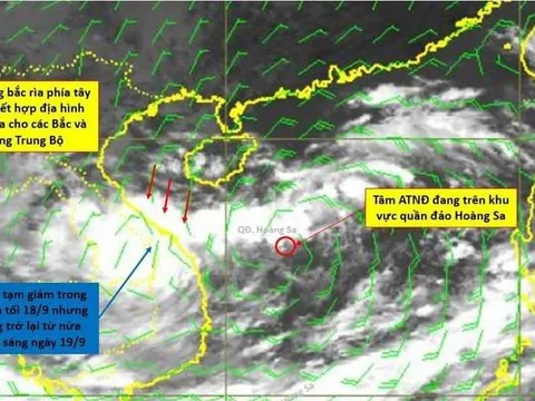 Cảnh báo tin giả về bão số 4