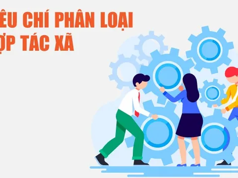 Infographics: Tiêu chí phân loại Hợp tác xã