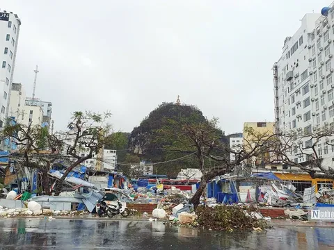 6 nhóm nhiệm vụ trọng tâm đẩy mạnh khôi phục sản xuất kinh doanh sau bão số 3