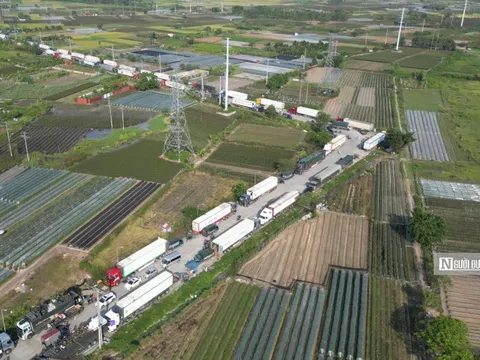 Hà Nội: “Chiếm” đường giao thông lập chợ đầu mối trái phép tại huyện Mê Linh