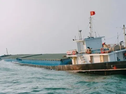 Đã cứu được 8 thuyền viên trên tàu hàng bị sóng đánh chìm ở Quảng Nam