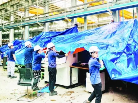 Chính phủ ban hành 6 nhóm nhiệm vụ, giải pháp trọng tâm khắc phục hậu quả bão số 3, đẩy mạnh khôi phục sản xuất kinh doanh
