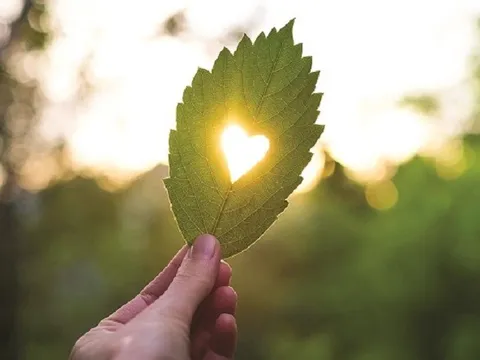 Cùng nhau xây hạnh phúc