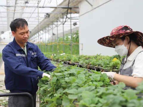 Nghị quyết 143/NQ-CP: Lực đẩy quan trọng cho doanh nghiệp phục hồi sau bão lũ