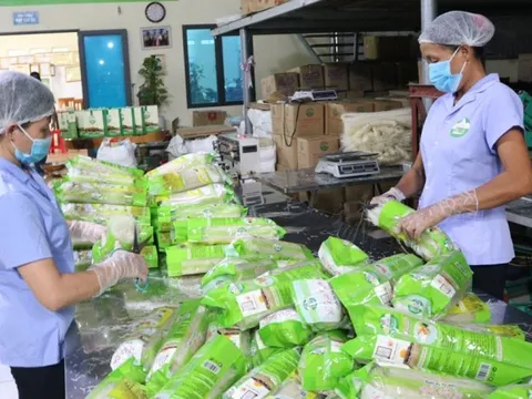 Hợp tác xã, liên hiệp hợp tác xã được thành lập doanh nghiệp khi đáp ứng các điều kiện gì