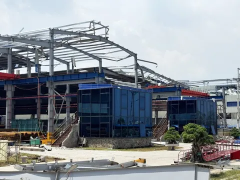 Quảng Ninh: Xây dựng Đề án khôi phục, tái thiết kinh tế sau bão số 3