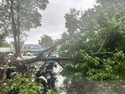 Quảng Bình: Học sinh nghỉ học từ chiều 19/9, khẩn trương ứng phó bão số 4