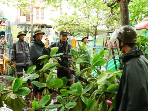 Chủ động ứng phó với bão số 4, không lơ là, chủ quan, mất cảnh giác