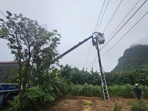 EVNCPC: Trong ngày 20/9 khôi phục cấp điện trở lại cho toàn bộ phụ tải bị ảnh hưởng của bão số 4