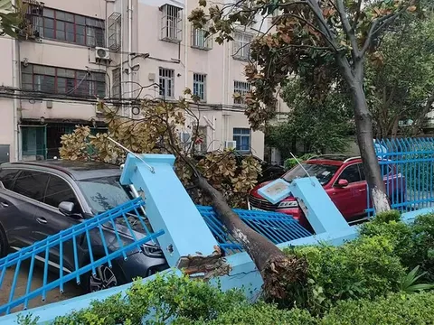 Thượng Hải tan hoang vì bão mạnh nhất 75 năm