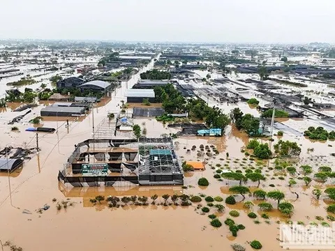 Việt Nam trân trọng sự đoàn kết, thăm hỏi kịp thời của cộng đồng quốc tế