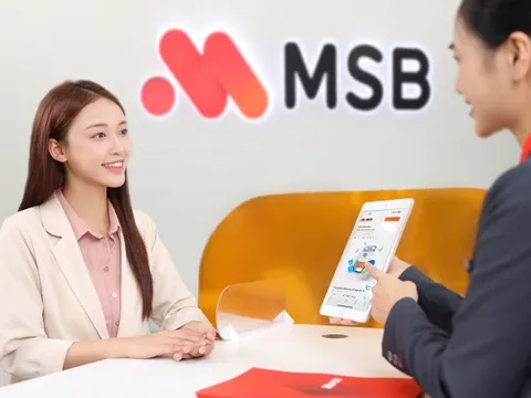 MSB giảm 1% lãi vay cho doanh nghiệp bị thiệt hại bởi bão Yagi