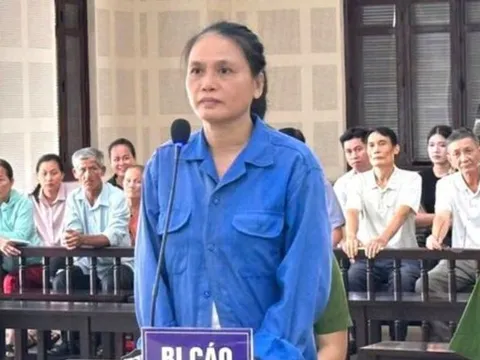 Đang được tại ngoại vì mang thai, vẫn "tranh thủ" lừa đảo gần 11 tỷ đồng