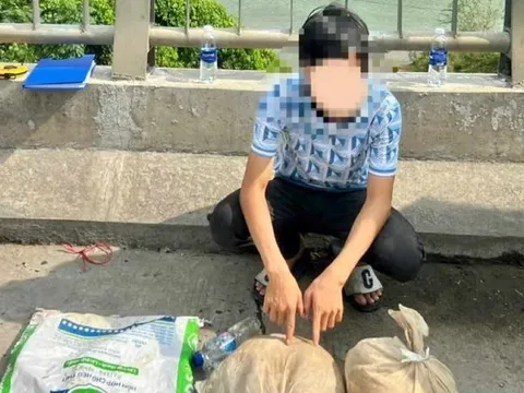 Khởi tố thanh niên ở Huế ra Quảng Trị vận chuyển 2 cá thể động vật quý