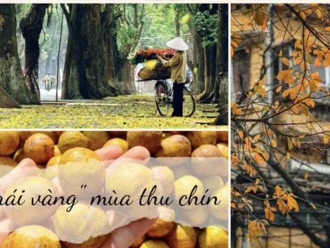 Vẻ đẹp Thu Hà Nội: Dấu ấn với du khách thập phương