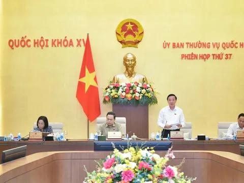 Luật Thuế thu nhập doanh nghiệp (sửa đổi): Thuế suất ưu đãi để đội ngũ doanh nghiệp nhỏ và vừa phát triển