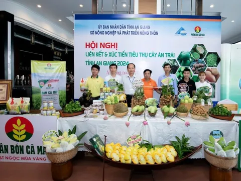 Phân bón Cà Mau đồng hành cùng An Giang nâng cao giá trị cây ăn trái