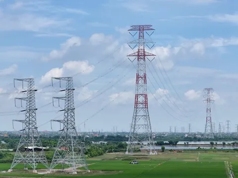 NPMB: Năm 2024 dự kiến thực hiện khối lượng đầu tư 6.332 tỷ đồng