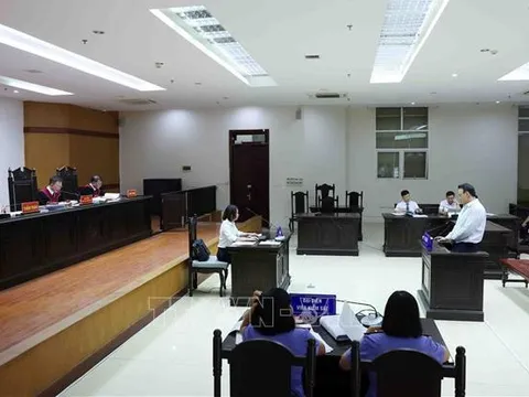Chủ tịch Tập đoàn Tân Hoàng Minh được giảm án 1 năm tù