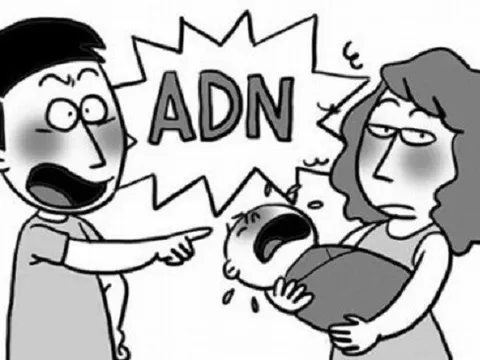 Nhiều vụ việc bế tắc vì vướng “quyền nhân thân“?