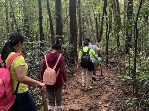 Cả nhà đi rừng