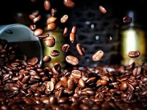 Giá cà phê phá vỡ kỷ lục mới