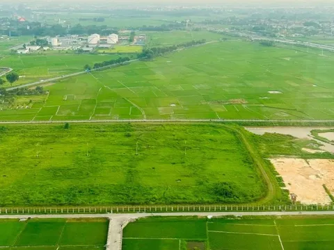 2 phương án giảm tiền thuê đất được đề xuất