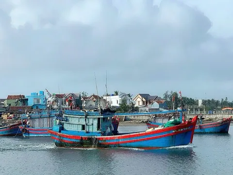 Quảng Ngãi: Nhiều chuyển biến tích cực trong chống khai thác IUU
