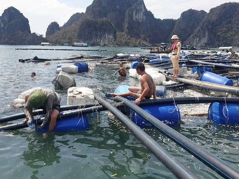 Quảng Ninh: Hơn 3.300 tỷ đồng hỗ trợ khắc phục thiệt hại do bão