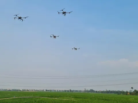 Thúc đẩy ứng dụng Drone trong bảo vệ thực vật