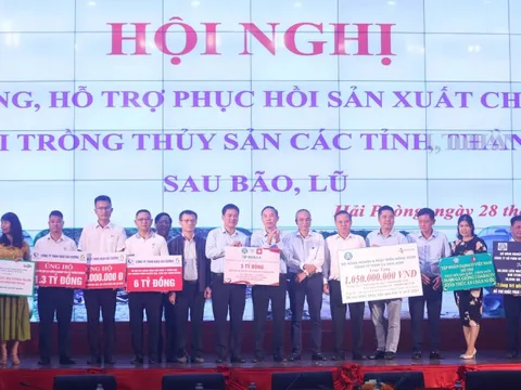 Phục hồi sinh kế cho người dân sau bão lũ
