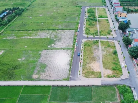 Chuyên gia bàn giải pháp căn cơ hạn chế bỏ cọc đấu giá đất